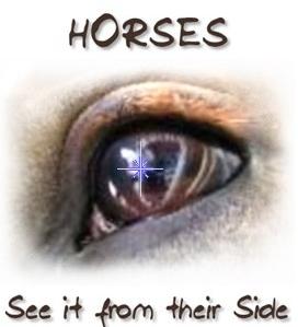 horseeye2.jpg